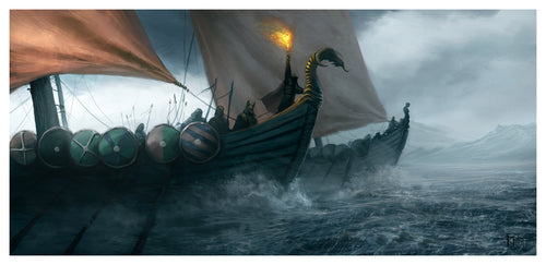 Image of Viking warrior ships