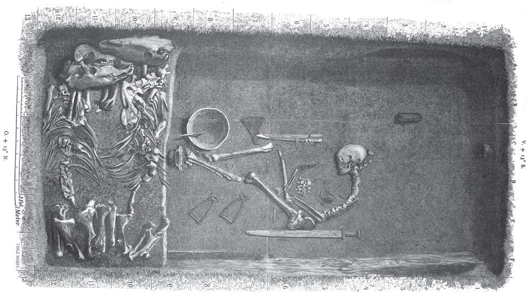 BJ581: Archaeological Evidence of Viking Shieldmaiden - BaviPower