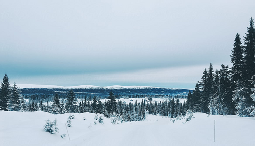 Fimbulwinter is coming