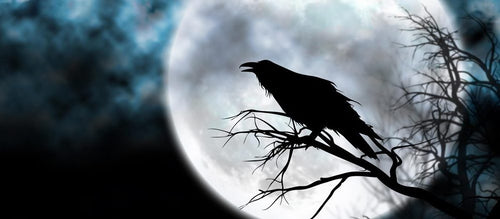 Image of Viking raven symbol