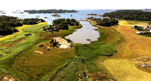 Viking Kaupang: Shining Town that No Longer Shines