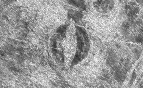 Viking ship found in Norway field