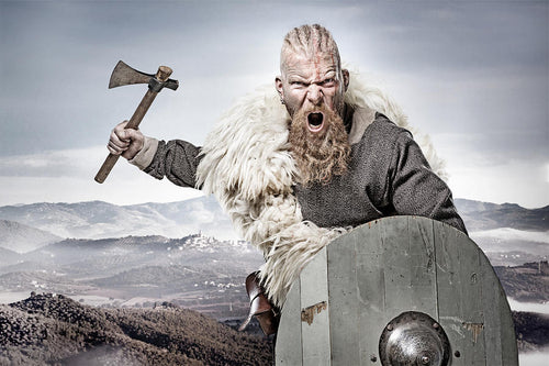 Viking warrior