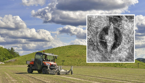 The Viking ship site Gjellestad 