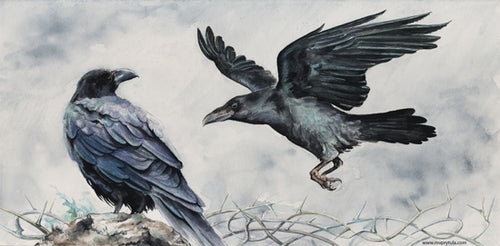 Ravens – Odin’s companions