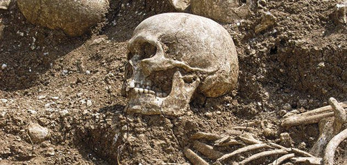 Viking skeletons Viking mass grave of warriors 