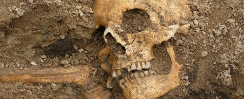 Viking skeleton Viking burial grave excavated 