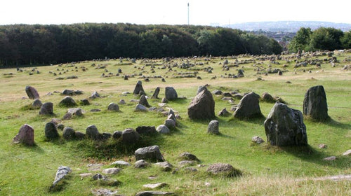 Image of Viking graveyard in Aalborg