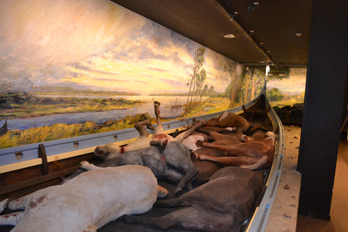 Viking Ladby Ship Burial Mound 