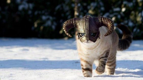 The Vikings took the Viking cats on their voyage