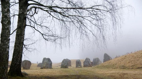 Viking Graves with Beheaded Skeletons Suggested Slave Sacrifice