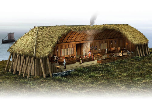 Viking longhouse 