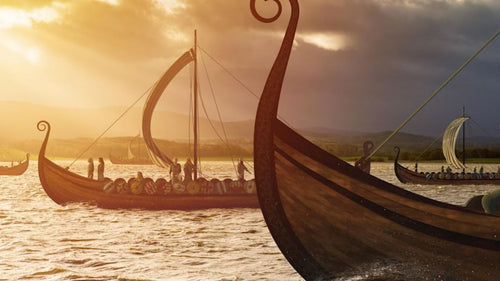 Viking Ships 