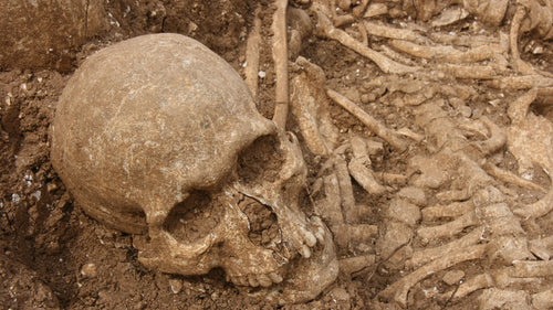 Viking skull in Dorset 
