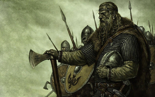 Image of Viking Warrior